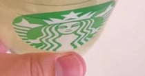 スタバの透明カップでダイソーのシソを育てたら、1カ月後……　驚きの姿が200万再生「すごい」「こんなに水栽培で成長するのですね」