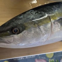 【画像】体内から出てきたもの