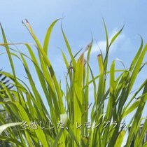 「ばぁばが庭に行った」と思ったら……　まさかの姿が“こんな生活憧れる”と話題「何者？」「おしゃれ！」