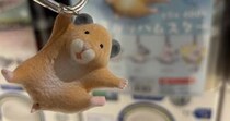 ←カプセルトイで当たったキーホルダー　家のハムスター→　衝撃の姿に思わず二度見「やめてもろてw」「ここまで似てるとは」