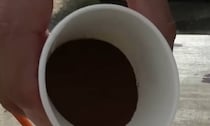 飲んでいる“コーヒー”を植物にかけたら……　「最強じゃない！？」とんでもない光景に「なるほど」「試してみます」