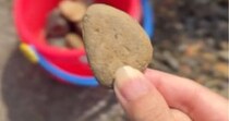 庭で拾った石→2児ママが絵の具で色を塗ったら……　子どもが夢中になった“驚きのグッズ”が113万再生「夏休みの自由工作にしようかな」