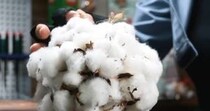 【画像】まさかの完成品