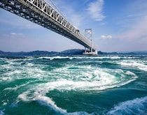 「お土産はこれ」　徳島が誇る“味付けのり”に「こんなに美味しい味付け海苔は食べたことがありません」「県民皆大好き」の声