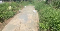雑草の上にビニールシートを敷いたら→たった4時間で…… 目を疑う光景に「シートすごい!!」「草刈り頑張ってましたがヤメまーす」