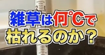 【画像】検証中の様子を見る