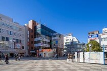 【画像：ランキング20位～1位を見る】