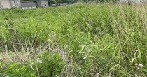 草刈りで9万9000円の見積り→お客さんが「えっー」と言い出し……「ビックリ！」　まさかの展開に「完璧だろこれ」「私も頼みたい」