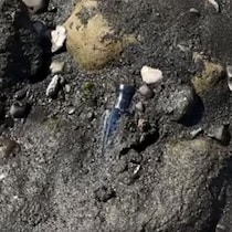「海でヤバいもの見つけてしまった」→洗ってみたら……　まさかの正体に「本当震えます」「奇跡ですね」