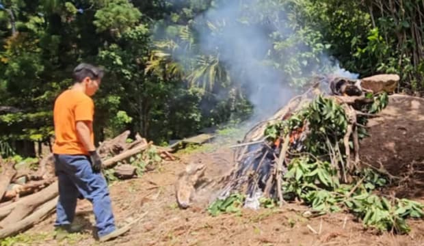 庭の巨大岩を燃やして冷やしたら……　驚きの光景に「初めて見る作業」「すごいすごいすごい！！！！」