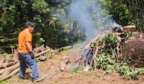 庭の巨大岩を燃やして冷やしたら……　驚きの光景に「初めて見る作業」「すごいすごいすごい！！！！」