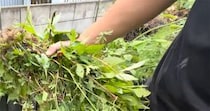 【画像】驚きの成果