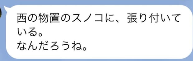 母からLINE→緊急事態かと思い、開くと……　実家にいた“まさかの生き物”が「えぇ、なんこれすごい」「気絶しました」と230万表示
