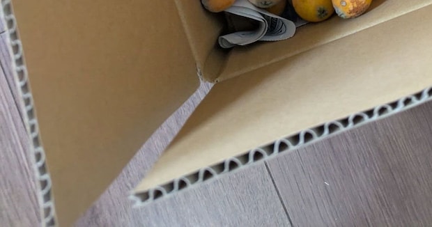 「これ3箱目なんだけど!」実家から届いたダンボール→開けると…… とんでもない中身に「え、羨ましい」「着払いで送って」
