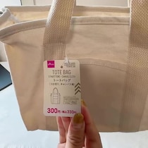 ダイソーで330円の“仕切りバッグ”→たった20分アレンジするだけで……　驚きの変身に「一目惚れしました」「素敵すぎます」