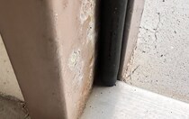 「Gとおもったら」床にいる黒い虫→よく見ると……　まさかの正体に「これはドキッ」「こっちの方がビビる」