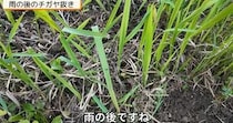 【画像】驚きの光景
