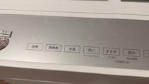【動画】実際の様子を動画で見る