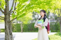 【画像：ランキング28位～1位を見る】