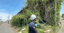 “木が生えた”巨大廃墟→恐る恐る中へ入ると……　「こんなことあります!?」「怖い」「何が出てくるかわからん」