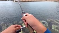 “釣り人全員から嫌われている魚”を釣ってみたら……「うぉぉおおお」まさかの結果に「気分爆上がり」「絶品ですよね～」