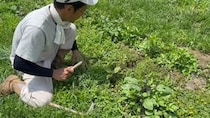 【動画】目からウロコな方法