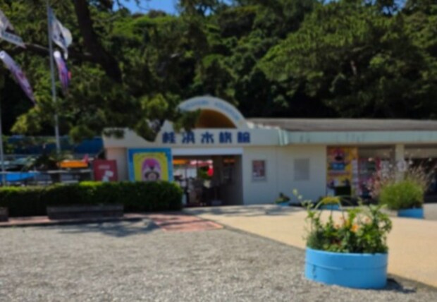 高知の水族館に“さかなクン”から届いた箱→開けてみると…… 驚きの中身に「愛が溢れてる」「そりゃ慕われる訳だわ」