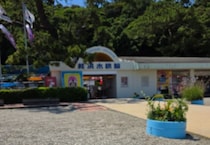 高知の水族館に“さかなクン”から届いた箱→開けてみると……　驚きの中身に「愛が溢れてる」「そりゃ慕われる訳だわ」