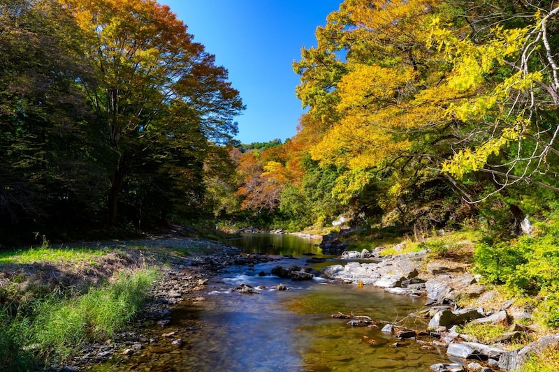 【関東在住者に聞いた】「かっこいい埼玉県の地名」ランキング！　2位は「蕨」「長瀞」、1位は？