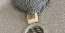 おばあちゃんちの軒下に“見たことない”形のツバメの巣　驚きの姿に「一級建築士」「とても芸術的」