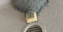 【画像】おばあちゃんの家にあったツバメの巣