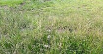 【画像】まさかの光景