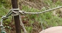 父が手作りした“イノシシよけ”→よく見たら……「夢に出る」　“人にも効きそうなデザイン”が76万表示　「絶妙に怖い」「夜中一人で勝手に動くやつじゃん」