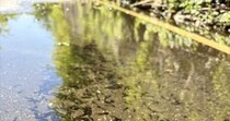 【画像】記事を読む