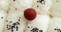 ママ友とピクニックに行く妻→夫がお弁当を作ったら……　驚きの出来栄えに「幸せですね」「こういう旦那さんが欲しかった」