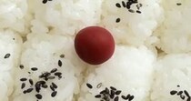【画像】完成したお弁当
