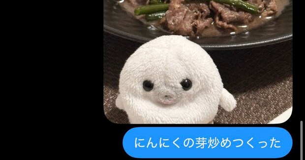 母に自炊した料理を撮って送ってみると……　全力すぎる返信に「こんな親に育てられたい」「全部がほっこりすぎる」