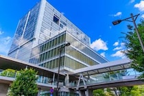 【画像：ランキング7位～1位を見る】