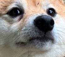 【画像】全身を見る