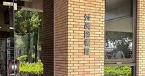 【画像】8日後にも来た鹿たち