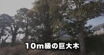 【画像】まさかの光景
