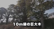 【画像】記事を読む