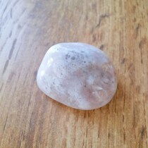 息子が拾ってきた“変な石”→光をあてると……目を疑う光景に「知りませんでした！！」「石の中に」