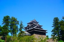 【関西地方在住者が選ぶ】買ってきてほしい「島根県のお土産」ランキングTOP24！　第1位は「そばまんじゅう（日高恵比須堂）」【2026年最新調査結果】