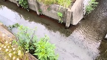 【画像】記事を読む