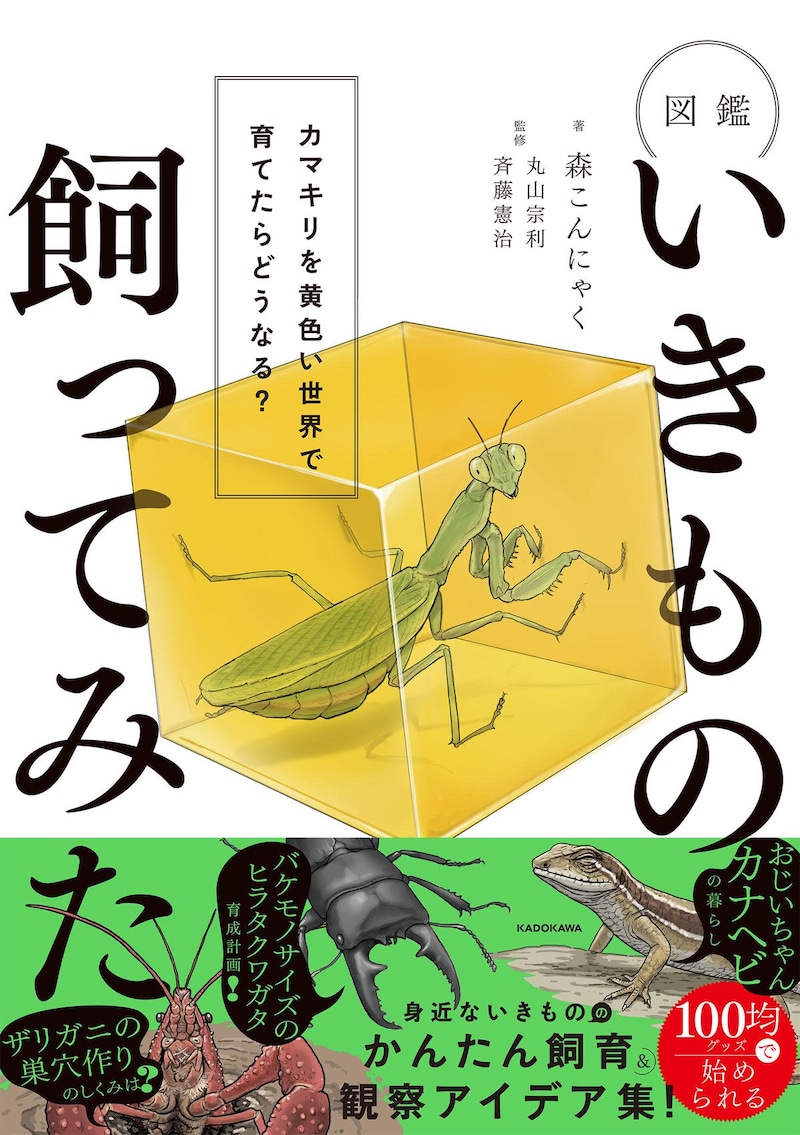 登録者数45万人超の人気生き物系YouTuber・森こんにゃく、初書籍を7月27日に発売 “生き物観察”の魅力がたっぷり