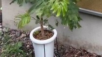 【画像】驚きの対策