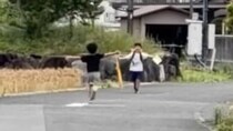 【画像】驚きの光景