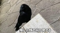 【画像】驚きの光景
