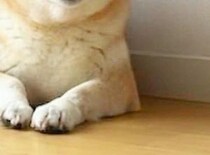 【画像】まさかの表情